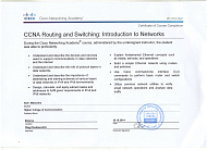 CCNA Routing and Switching: Introduction to Network